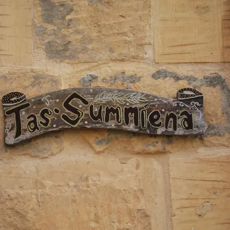 Tas Summiena *